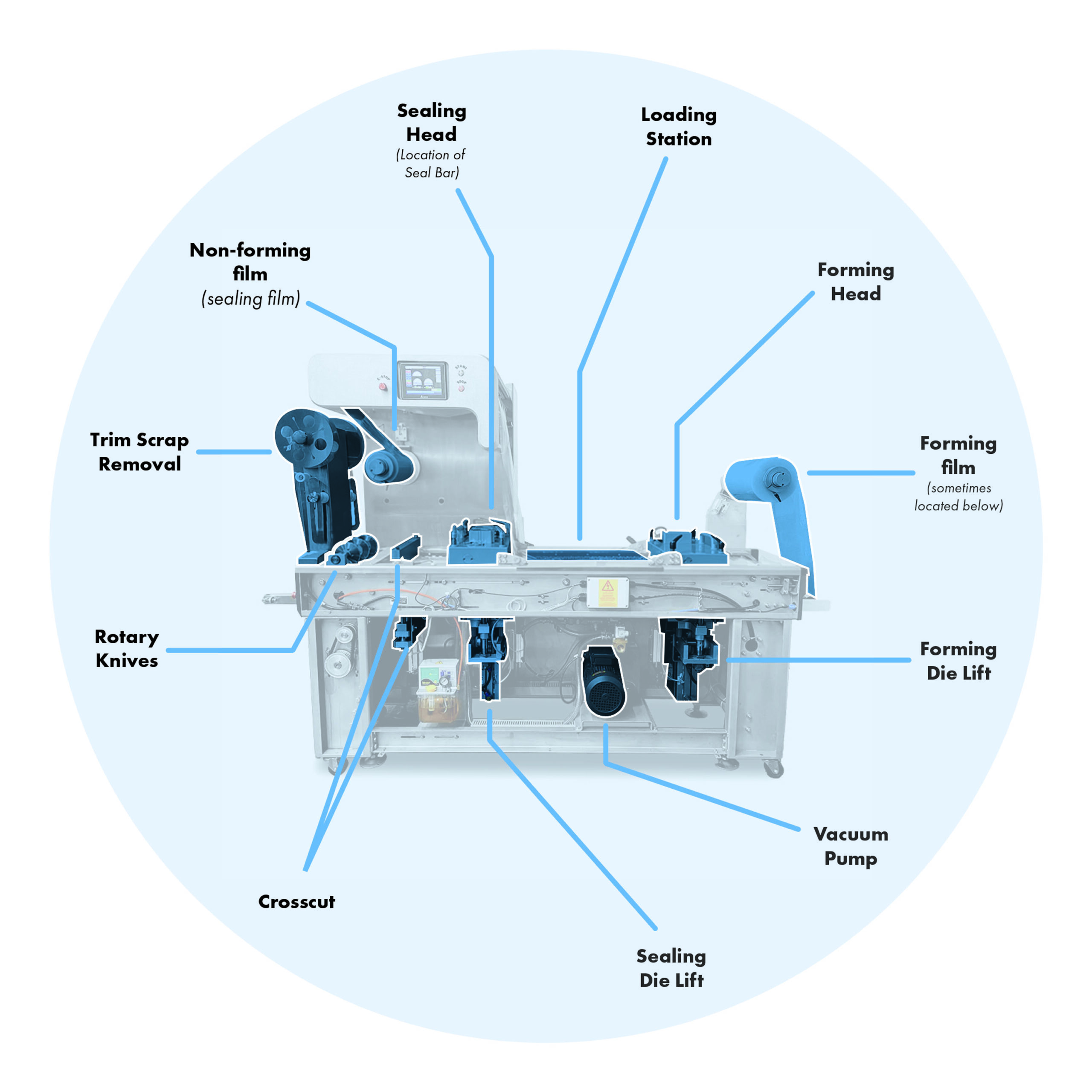 Rollstock Thermoformer Major Components